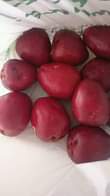 A picture of Malay Apple is an amazing tropical apple from Malaysia but