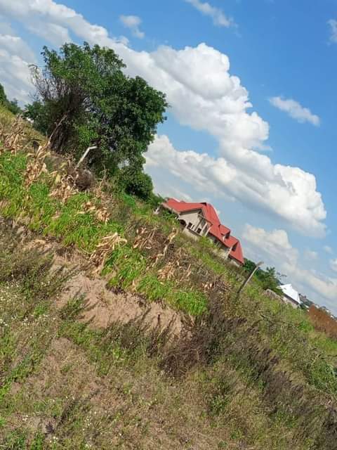 A picture of Mwanza nyashishi kiwanja kinauzwa