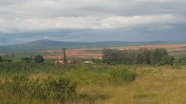 A picture of Bugesera lands for sale 0793866012