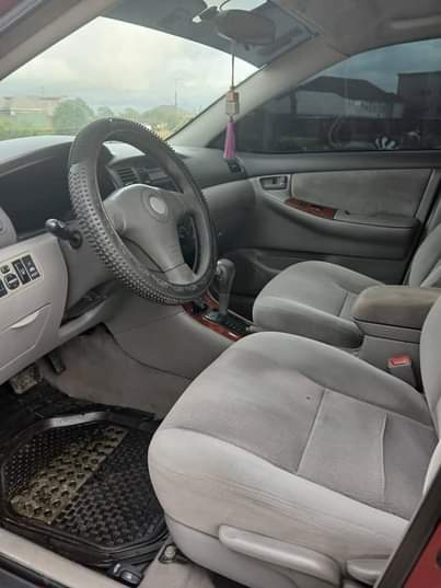 A picture of BELGIUM GRADE COROLLA 08