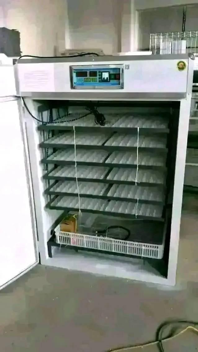 A picture of Egg Incubators