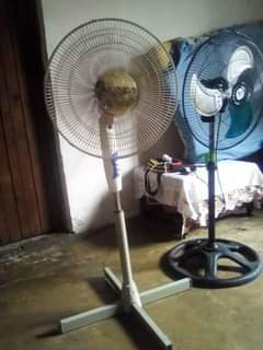 fans