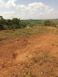 A picture of Commercial and residential plots for sale in wakiso sentema