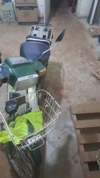 A picture of Mate