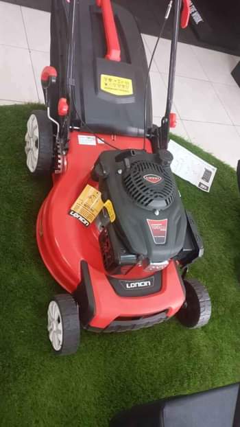 lawn