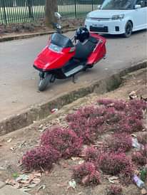 A picture of Bike for sale Fusion 250 cc