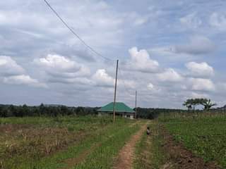 A picture of  TITLED PLOTS IN WAKISO KAKIRI NSIMBA ESTATE FROM 12M