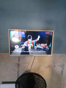 A picture of Nauza pes