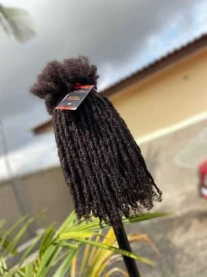 A picture of Human hair dreadlocks