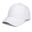 A picture of PLAIN CAPS