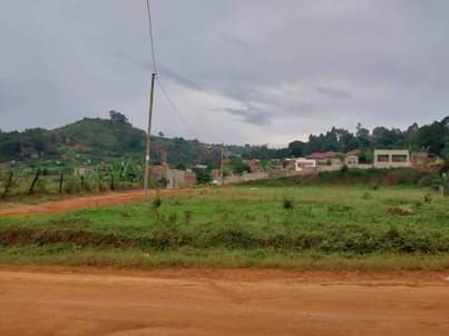 houses matugga