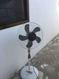 A picture of Feni tsh 25000