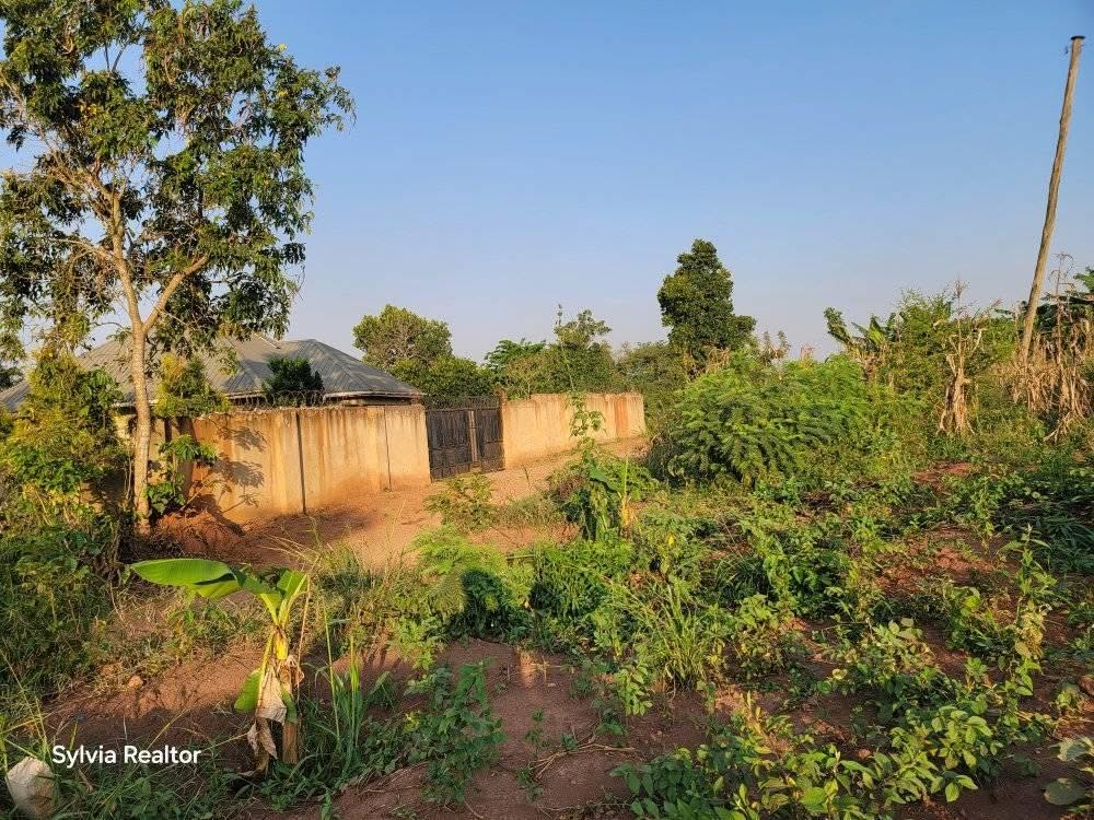 A picture of PLOTS FOR SALE AT 4 M UGX ONLY