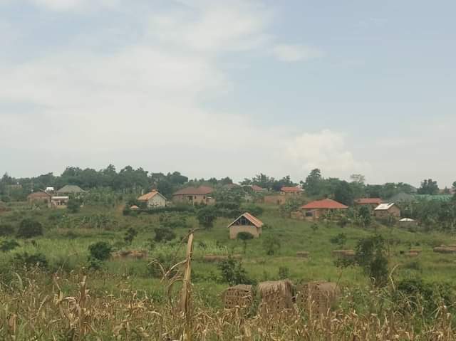 houses matugga