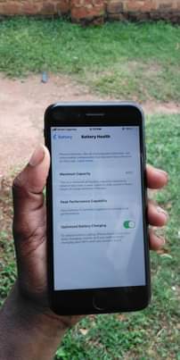 A picture of iPhone 7