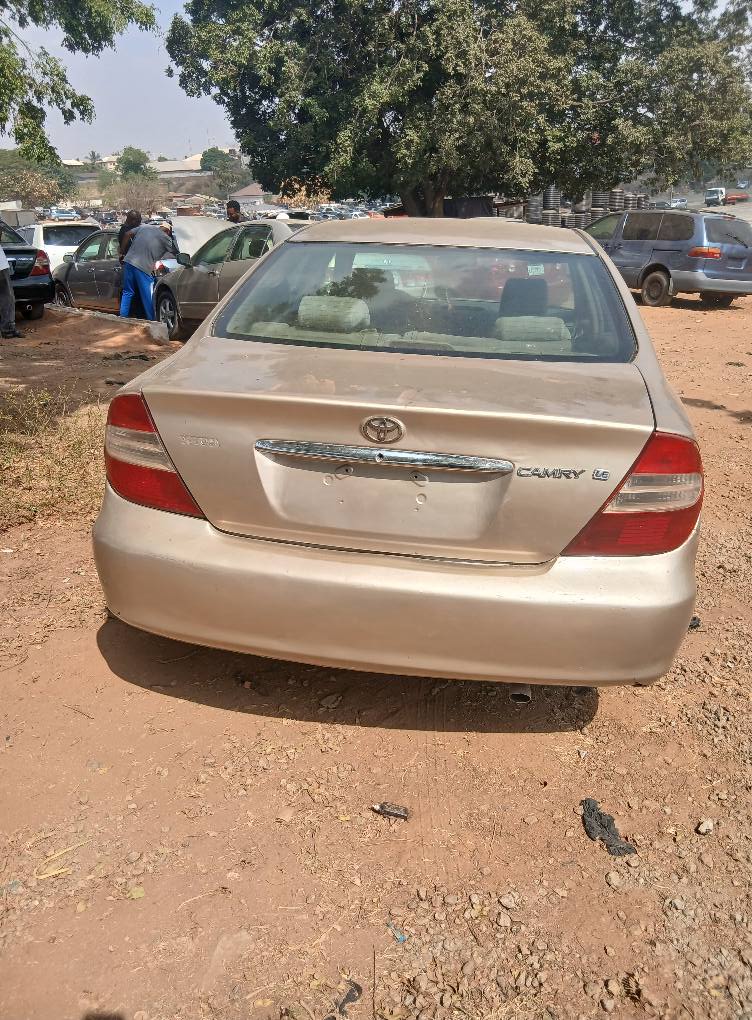 A picture of Camry Big Daddy