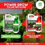 organic fertilizer