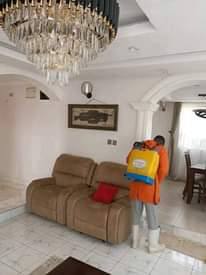 A picture of Fumigation and pest Control services