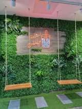 plants