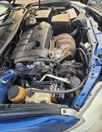 A picture of 2010 Camry muscle