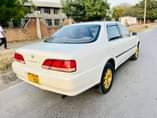 A picture of Cresta cresta cresta
