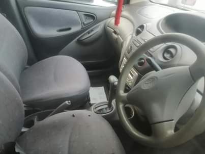 A picture of Vitz