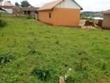 A picture of Plots for sale at Nabingo after Trinity college