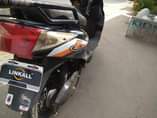 A picture of ELECTRIC BIKE INAUZWA