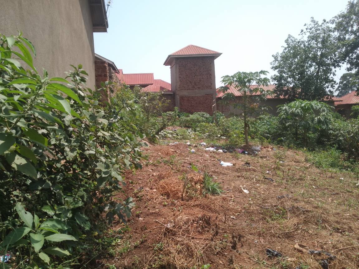 A picture of Plot kabaka land
