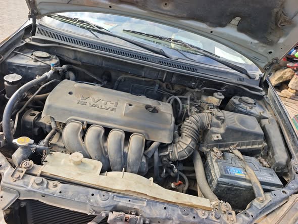 A picture of 05 Corolla sport