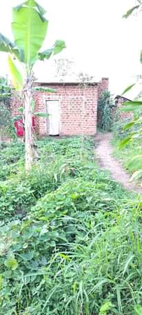 A picture of Quick sale New single room sited on 3oft by 5oft