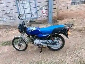 motorbikes