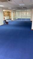 A picture of Woloon carpet