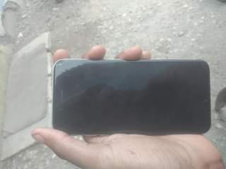 Apple F.