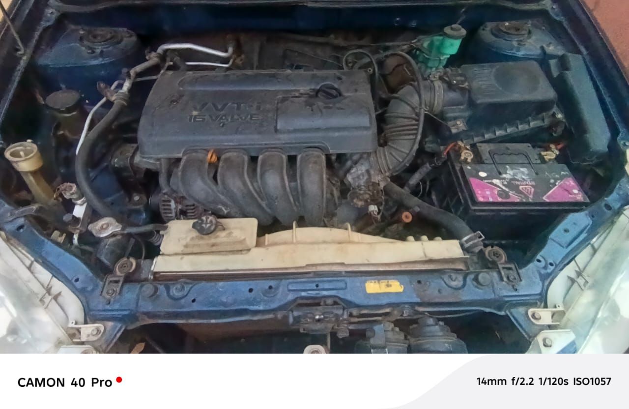 A picture of Corolla 04