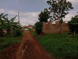 Ssentumbwe B.