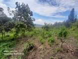 A picture of 50 100 at Wakiso Bakka on sale 6M contact me