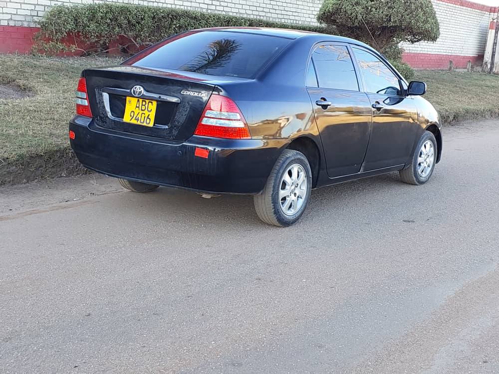 toyota corolla bubble