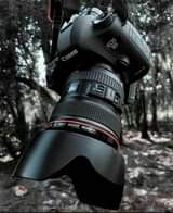New U.
