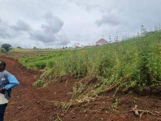 A picture of BIHARWE RWAGAJU 4 5M 0702112634