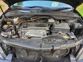 A picture of MILLION HARRIER NEW