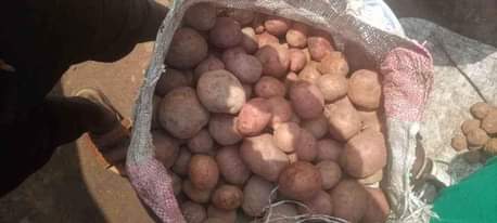 A picture of Irish potatoes