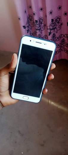 A picture of Simu