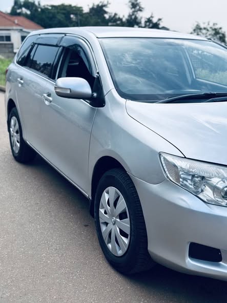 A picture of 2008 Toyota Corolla Fielder