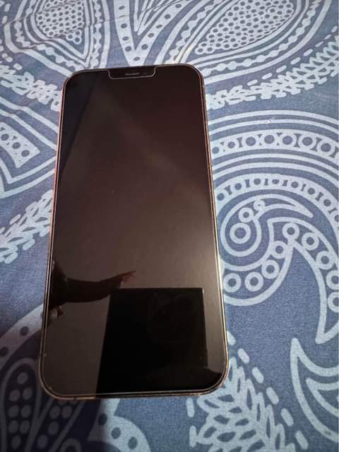 iphone 12pro