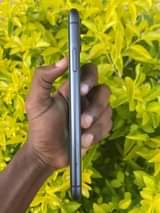 A picture of iPhone 11 plain DOBLE LAIN