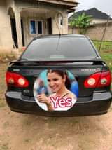 A picture of 2008 Toyota corola pure