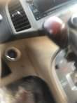 A picture of Toyota Venza 2010