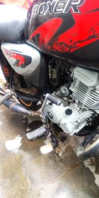 A picture of Boxer cc 125 0787642736