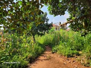 A picture of bunga kawuku 72decimals good for apertment residental home Developed neighborhood